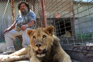 photo of Terry Brumfield's lion