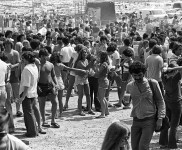 May Daze, 1979