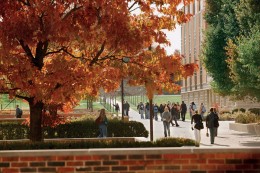 Wright State students walk across campus near the quad.