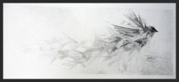 Photo of a black and white drawing by Anthony Powers, a synesthete and an artist.