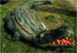 Photo of aligator sculpture made out of recycleables
