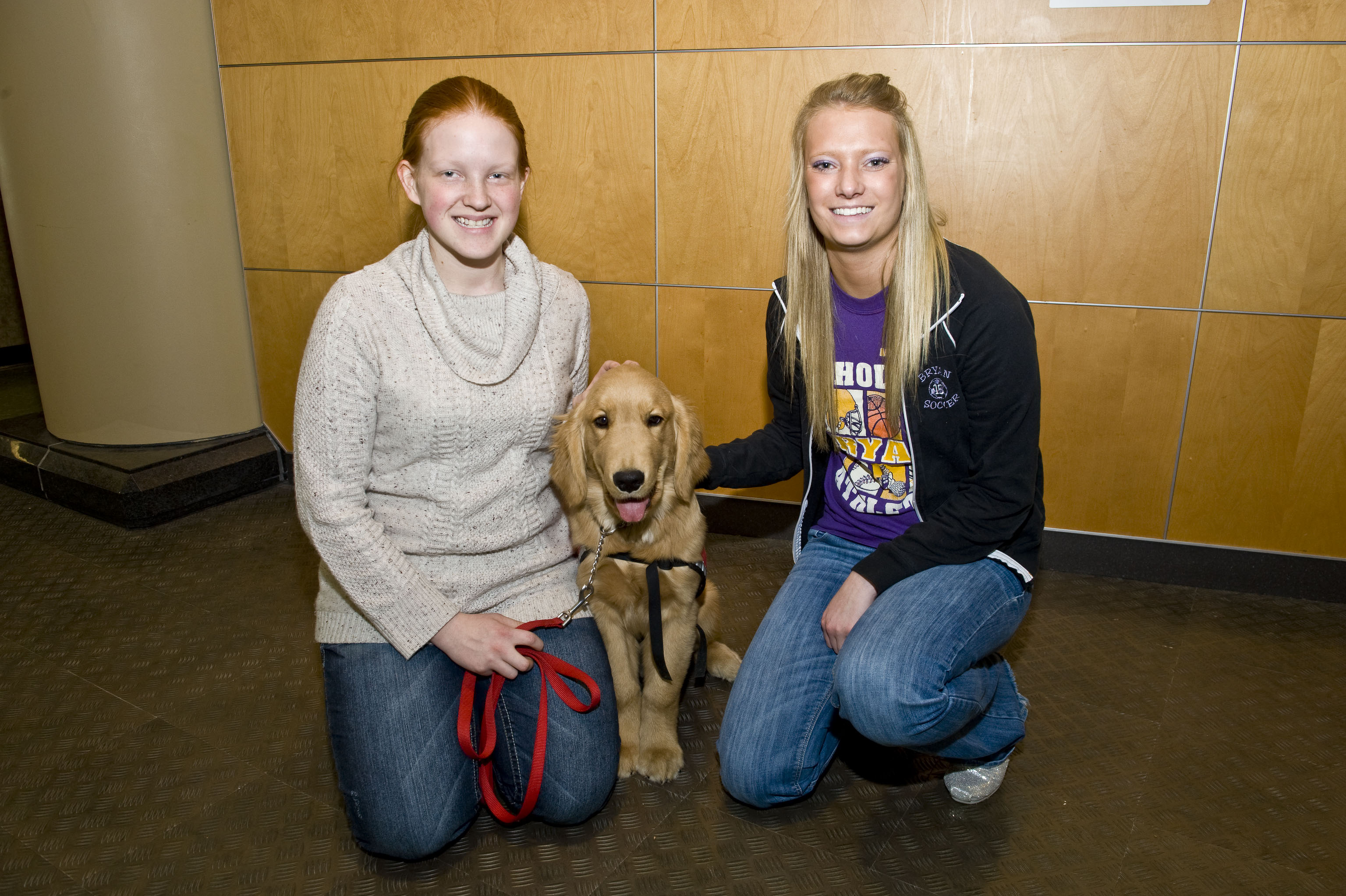 Wright State Newsroom – Wright State Service Dog program ...