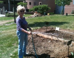 Photo of Dr. Linda Ramey watering the Wright State University community garden.