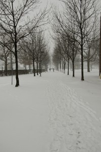  Winter weather preparedness at Wright State