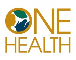 One Health logo