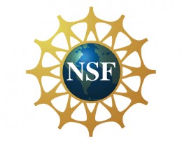 NSF logo