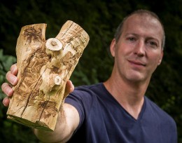 Don Cipollini holding piece of white fringetree affected by emerald ash borer