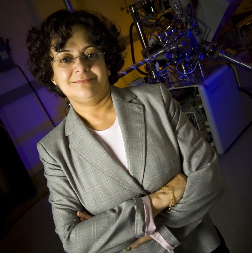 Sharmila Mukhopadhyay, director of Wright State’s Center for Nano-Scale Multifunctional Materials, was named a Jefferson Science Fellow by the National Academies and the U.S. Department of State.