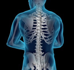 Wright State Physicians Orthopaedics to offer educational session about spine conditions 