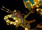Tiffany Fridley, pictured here in a butterfly costume performing in the beloved SpectroMagic parade at Walt Disney World.