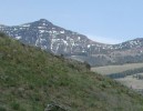 Photo of mountains in Yellowstone with the bones on an elk in the foreground.