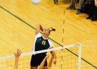 Photo of Andrea Voss Velinga while playing for Wright State.