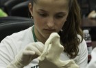 Photo of a girl looking at a bone fragment.