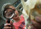 Photo of a girl looking through a magnifying glass