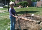 Photo of Dr. Linda Ramey watering the Wright State University community garden.