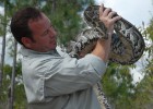 Photo of Shawn Heflick, a Wright State University graduate who stars in Python Hunters—a TV show that chronicles Heflick wrestling, capturing and saving giant pythons in the Florida Everglades.