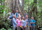 Photo of Wright State students in a rainforest in Suriname