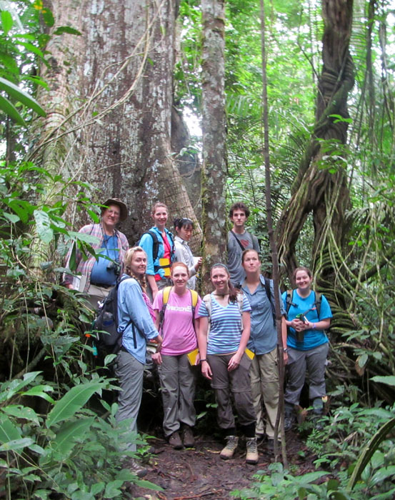 Photo of Wright State students in a rainforest in Suriname