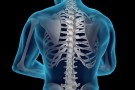Spinal X-ray