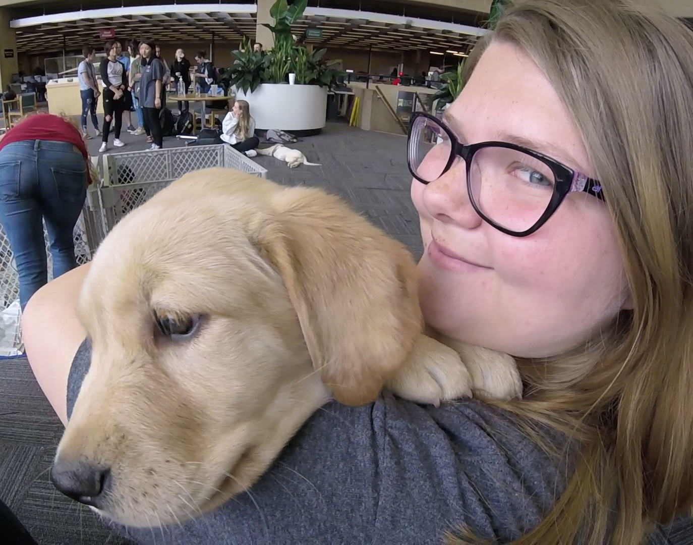 Wright State Newsroom – Puppy pause « Wright State University